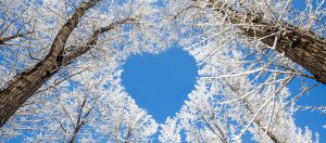 دعوت برای مهمانى زمستانه انجمن همياران در سال 96